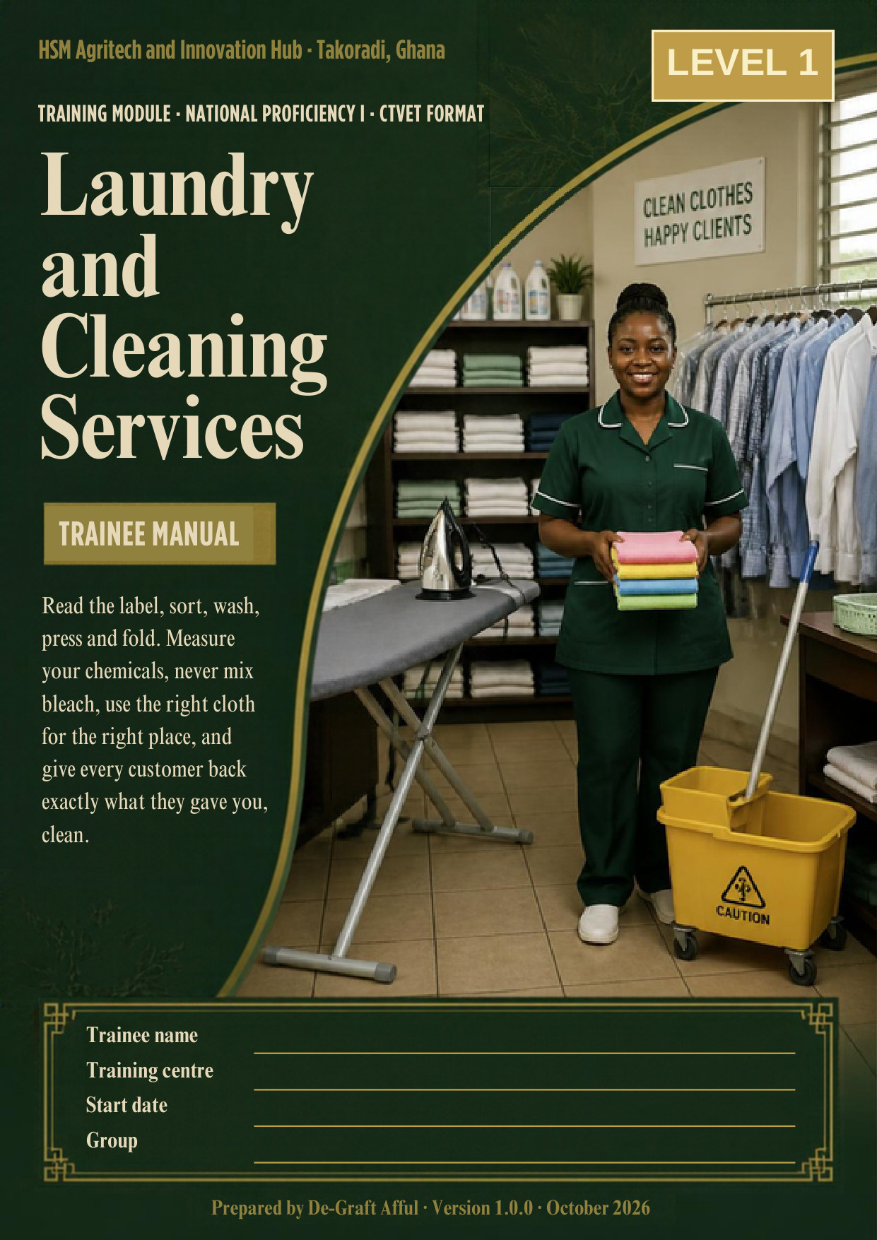 Cover of Laundry and Cleaning Services